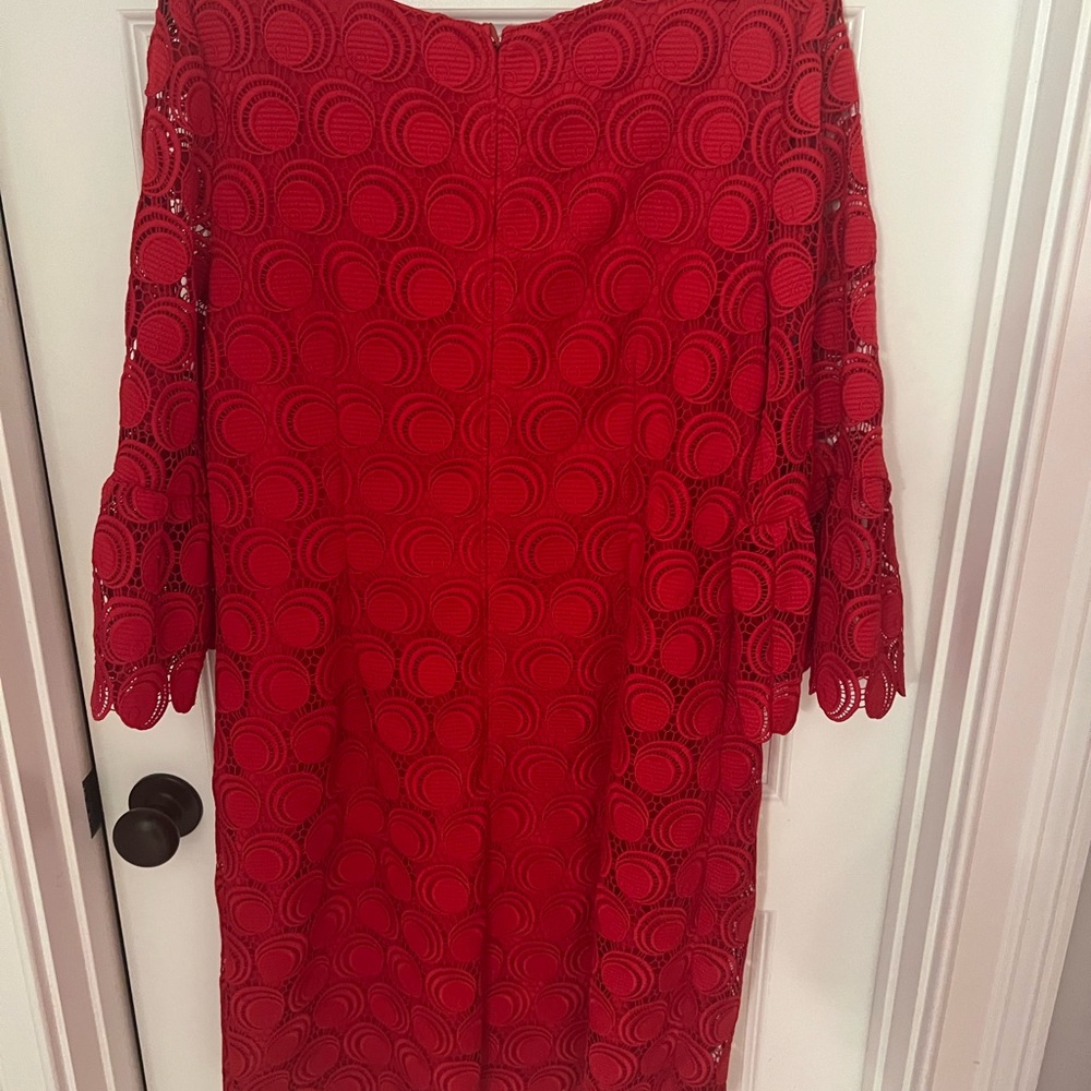 Elegant Red Lace Dress - Picture 4 of 4